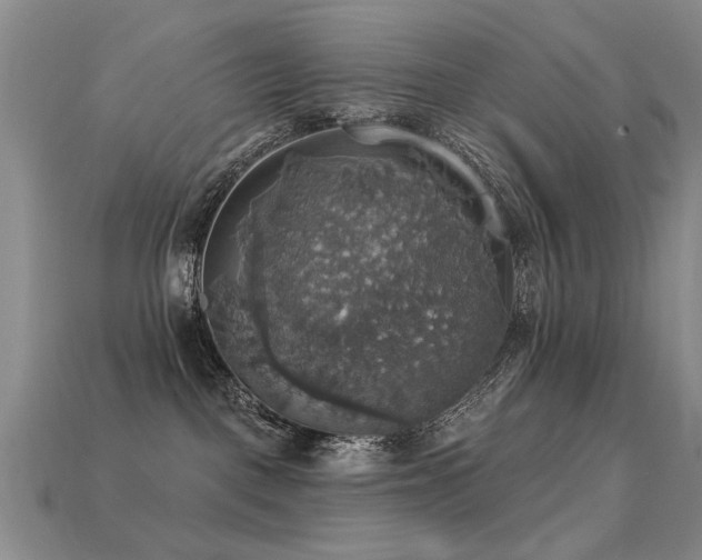 X0000113230093200909101220