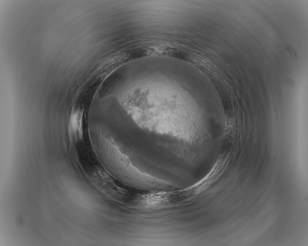 X0000113230094200909101220