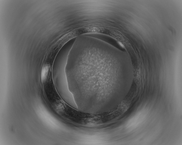 X0000113230095200909101220