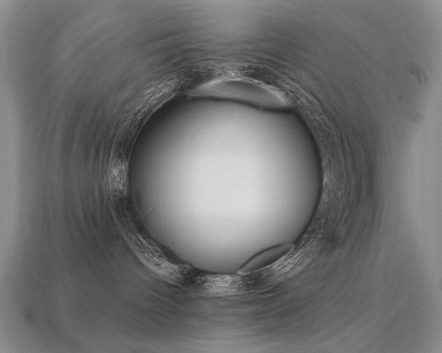X0000113230096200909101220