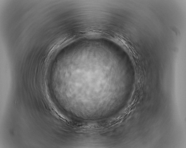 X0000113230097200909101219