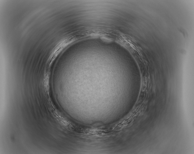 X0000113230098200909101219