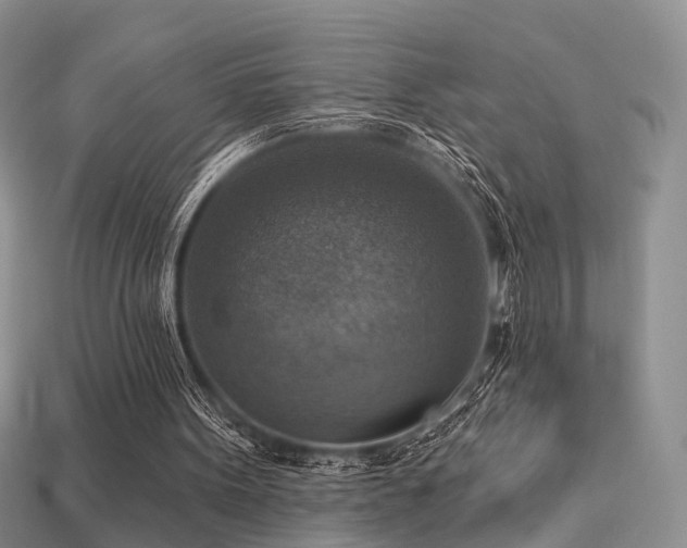 X0000113230099200909101219