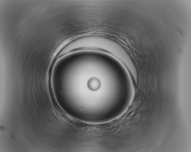X0000113230100200909101219