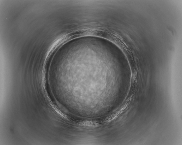 X0000113230101200909101219