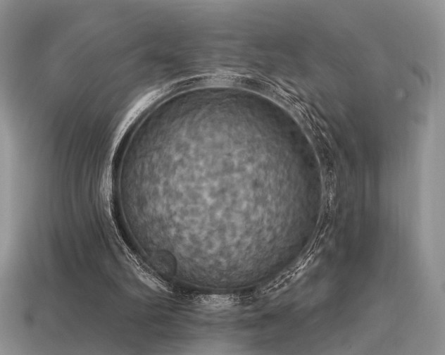 X0000113230102200909101219