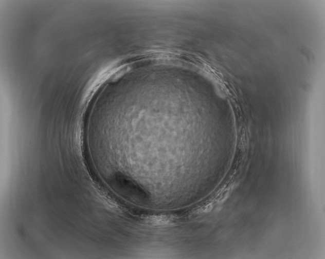 X0000113230103200909101219
