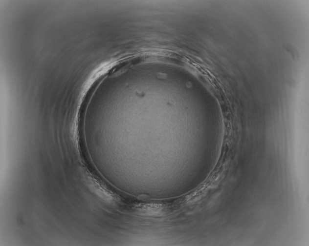 X0000113230104200909101219
