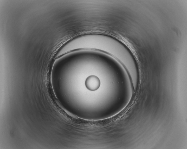 X0000113230105200909101219