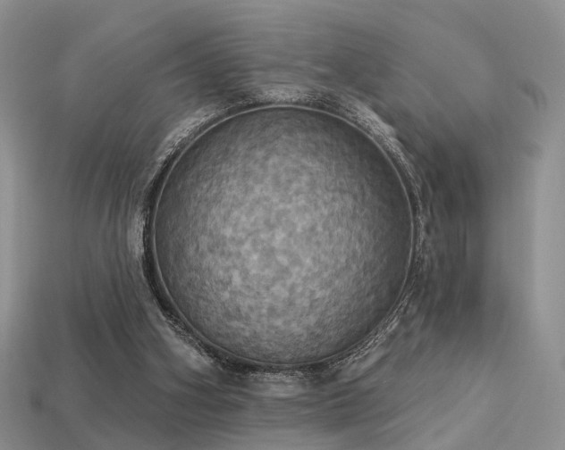 X0000113230106200909101219