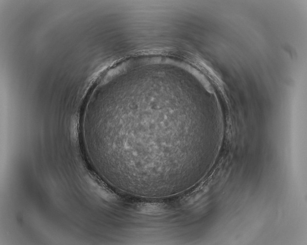 X0000113230107200909101219