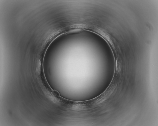 X0000113230109200909101219