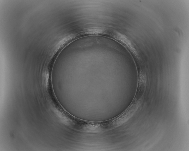 X0000113230110200909101219