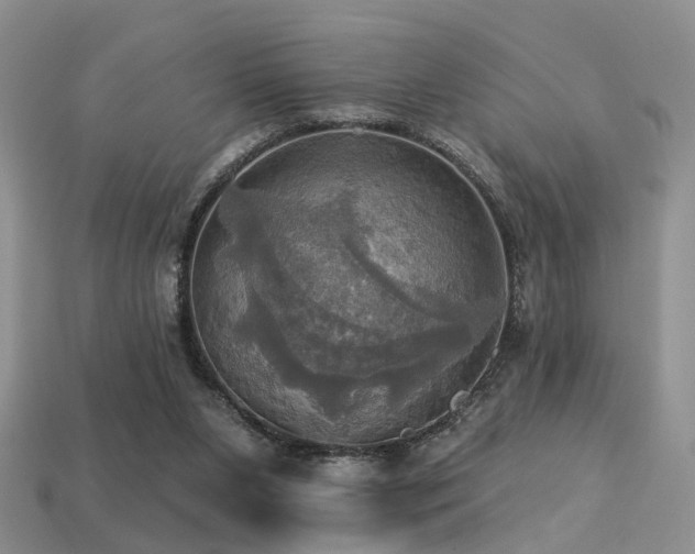X0000113230111200909101219
