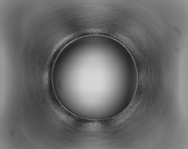 X0000113230112200909101219