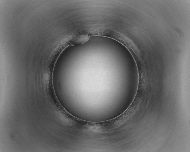 X0000113230113200909101219