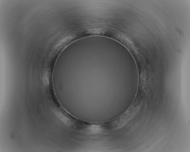 X0000113230114200909101219