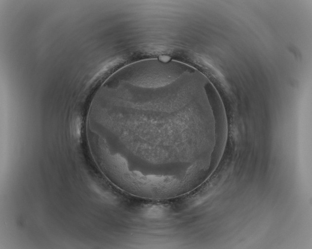 X0000113230115200909101219