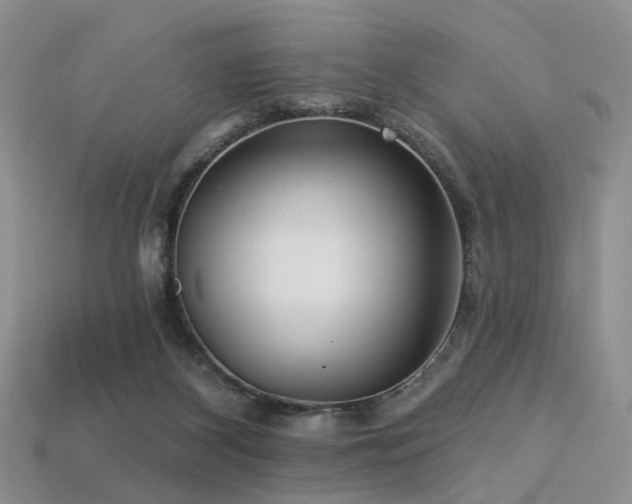 X0000113230116200909101219