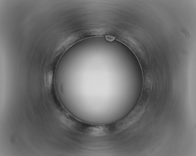 X0000113230118200909101219