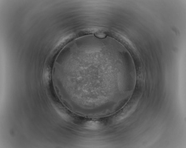 X0000113230119200909101219