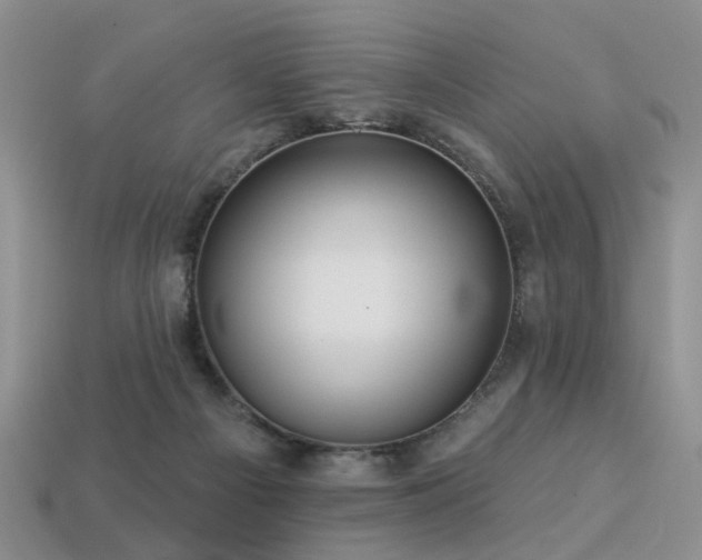 X0000113230121200909101219