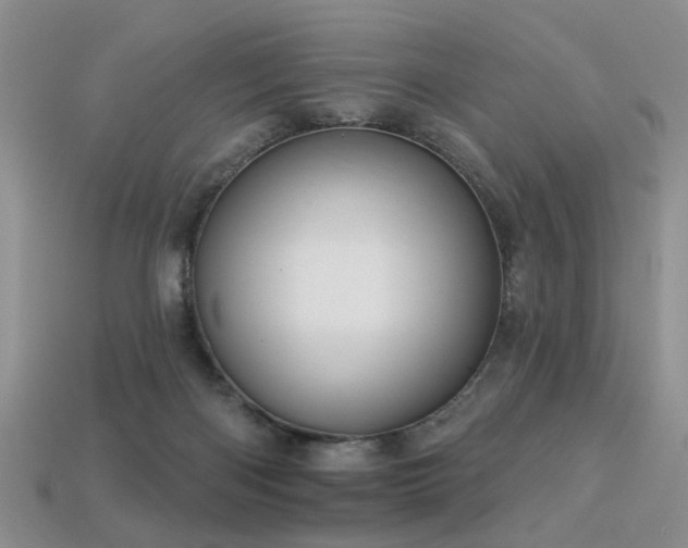 X0000113230122200909101219
