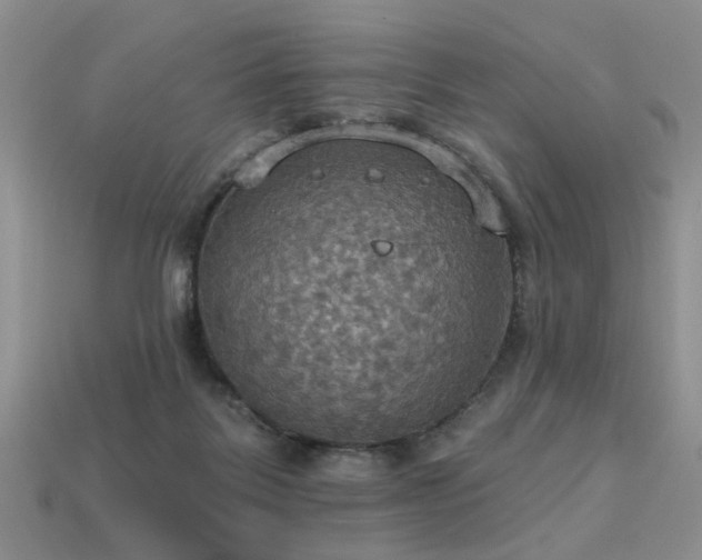 X0000113230123200909101219