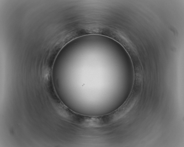 X0000113230125200909101219