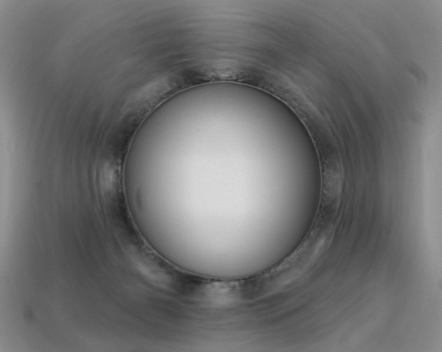 X0000113230126200909101219