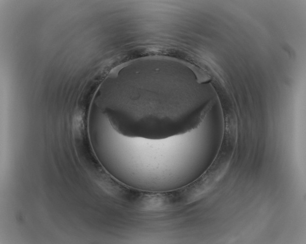 X0000113230127200909101219