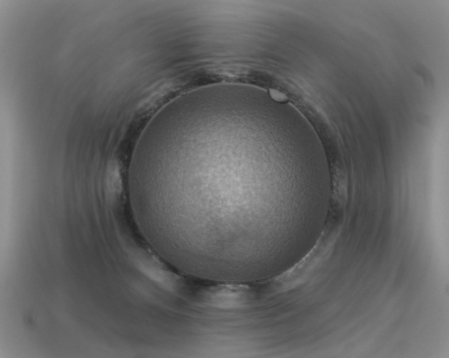 X0000113230128200909101219