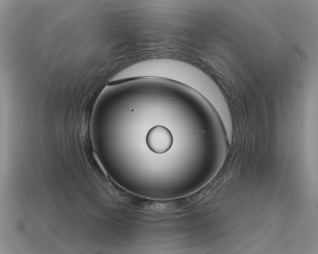 X0000113230129200909101219