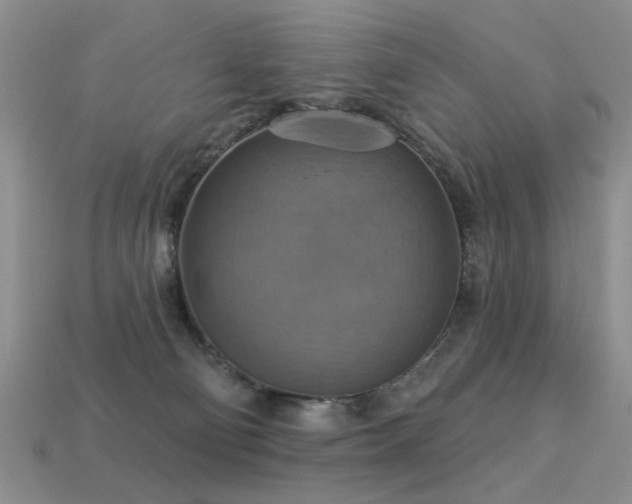 X0000113230130200909101219