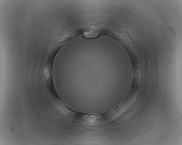 X0000113230131200909101219