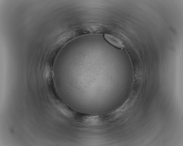 X0000113230132200909101219