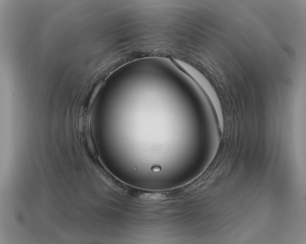X0000113230133200909101219