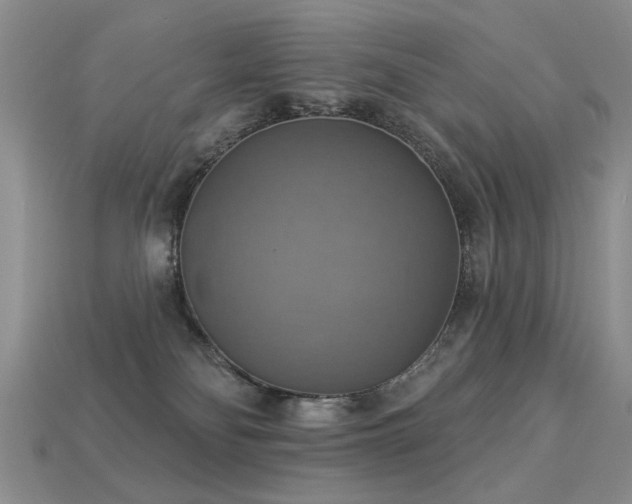 X0000113230134200909101219