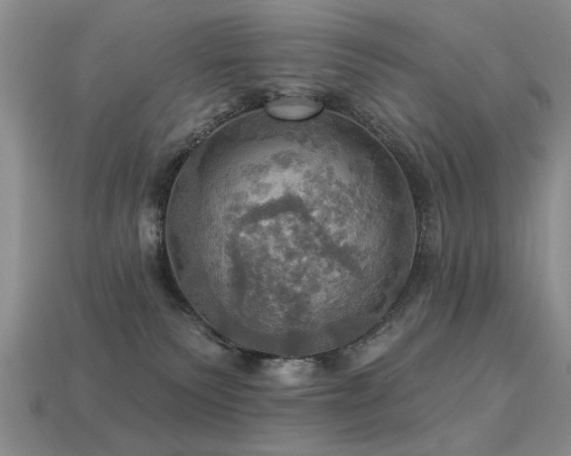 X0000113230135200909101219