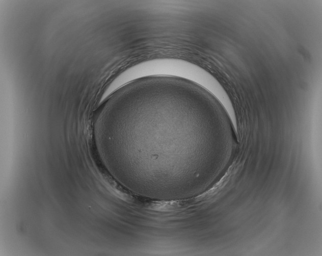 X0000113230136200909101219
