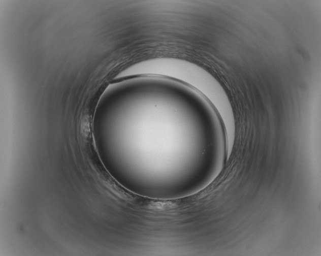 X0000113230137200909101219