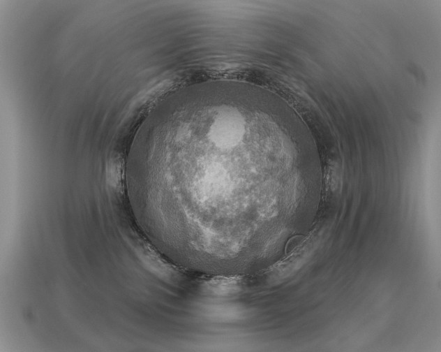 X0000113230138200909101219