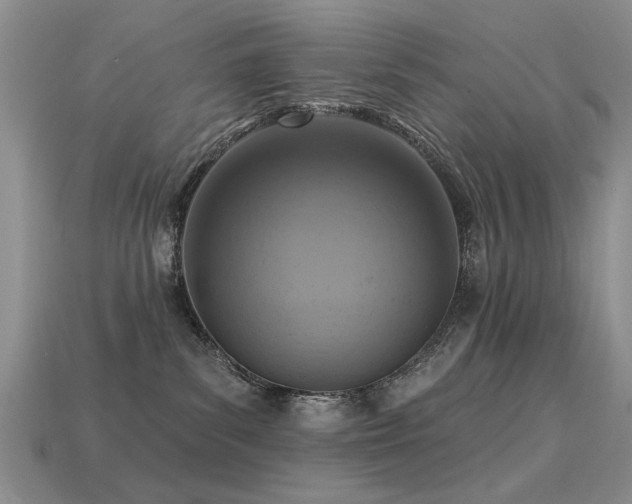 X0000113230139200909101219