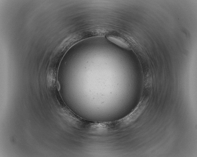 X0000113230140200909101219