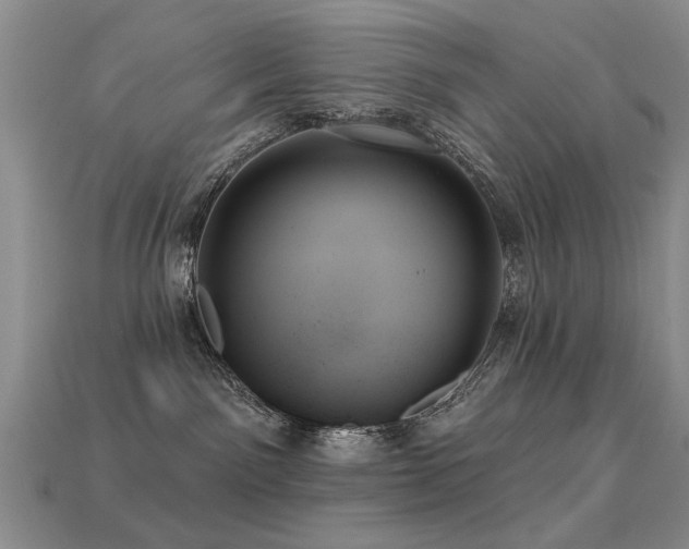 X0000113230141200909101219