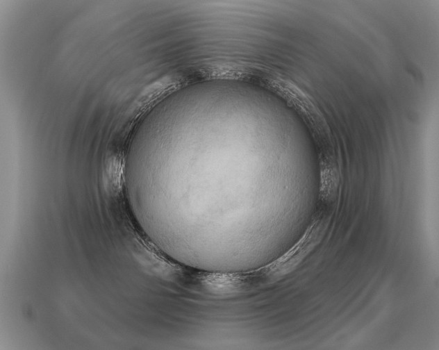X0000113230142200909101219