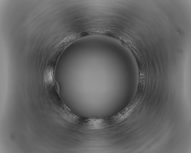 X0000113230143200909101219