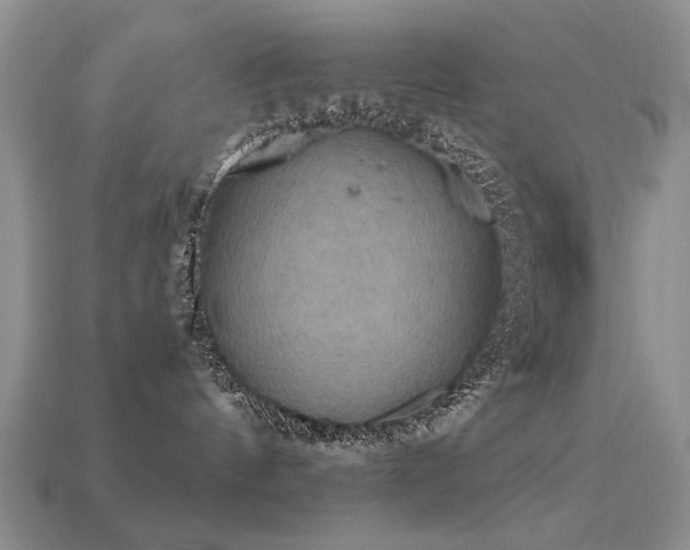 X0000113230144200909101219
