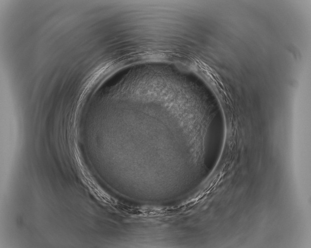 X0000113230145200909101218