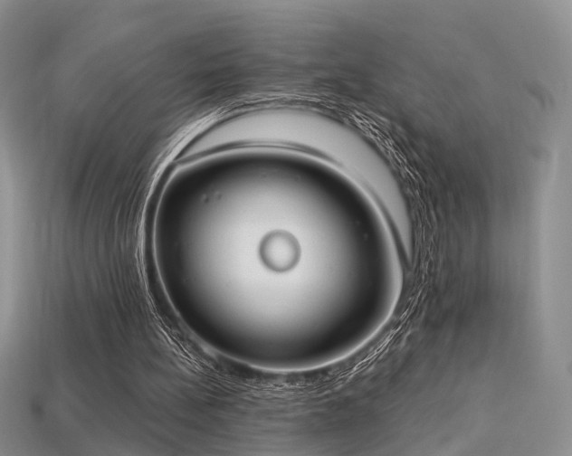 X0000113230148200909101218